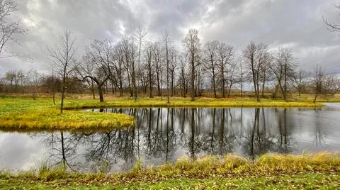 A pond and tree crowns without foliage in an autumn landscape, small islands Stock Photos