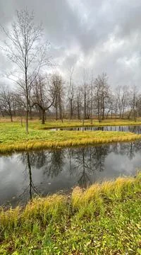 A pond and tree crowns without foliage in an autumn landscape, small islands Stock Photos