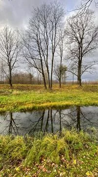 A pond and tree crowns without foliage in an autumn landscape, small islands Stock Photos