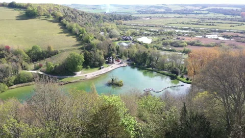 Pond and trees 動画素材 168417229