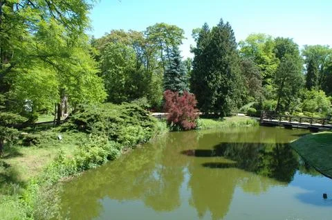 Pond and trees in Park Stock Photos