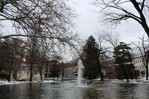 Pond and trees Stock Photos