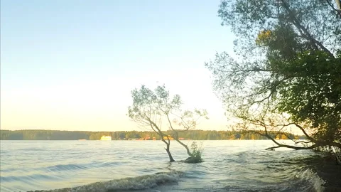 Pond and trees at sunset in summer timelapse 스톡 동영상 87221386