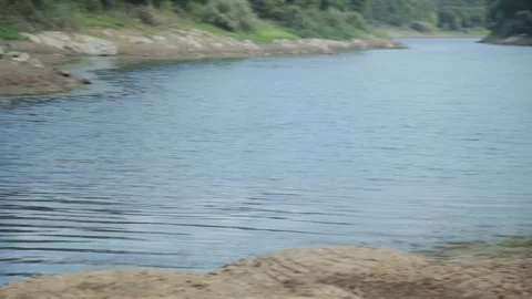 Pond and waves on it Stock Footage 116265462