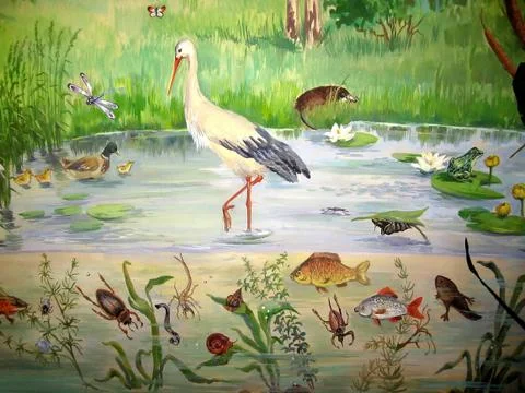 Pond animals Stock Photos