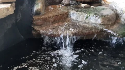 Pond Art Video stock 237155102