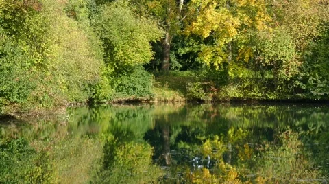 Pond in Autumn 動画素材 56090669