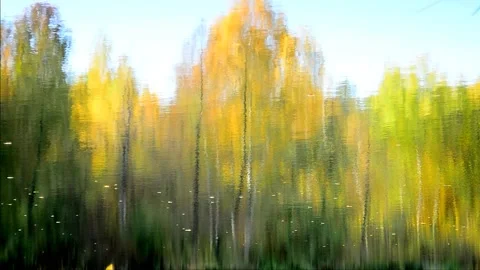 Pond in the autumn forest Stock Footage 142186917