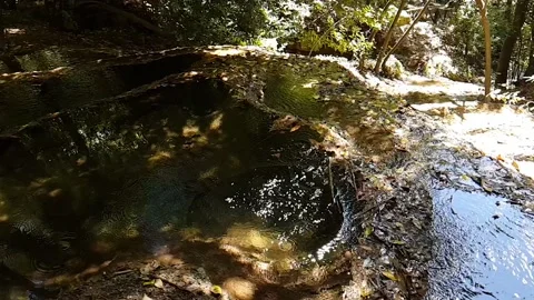 Pond in Aymerich Park Stock Footage 202087860