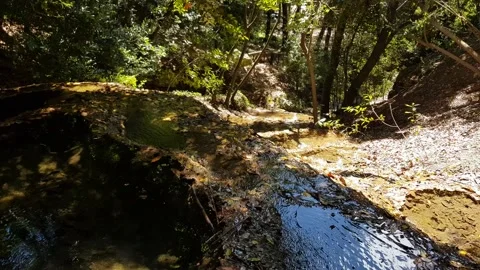 Pond in Aymerich Park Stock Footage 202087951