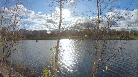 Pond in the back sun Vídeos de archivo 118877620