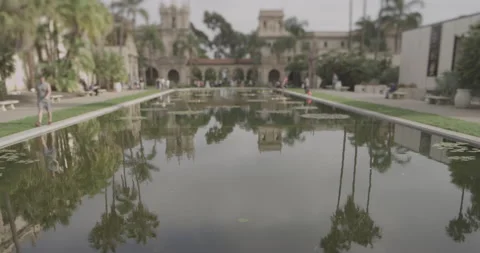 A pond in Balboa park with reflections Stock Footage 150438530