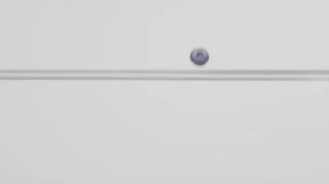 Pond BB Group 1 Stock Footage 23138468