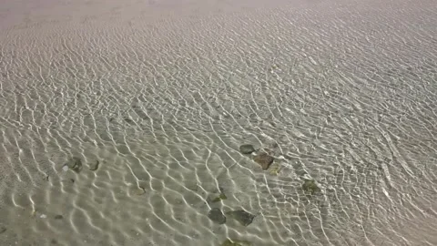 Pond on a beach in the Cantabrian coast Stock Footage 234023786