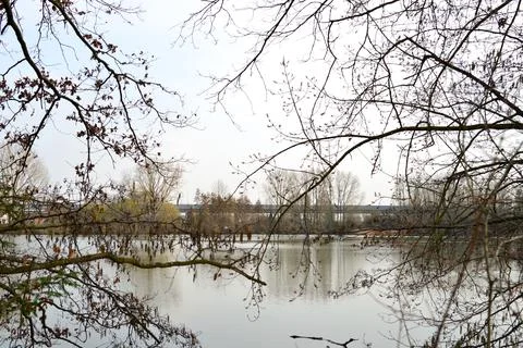 Pond Bellefroid Stock Photos