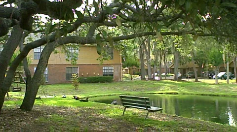 Pond with Bench Video stock 5224758