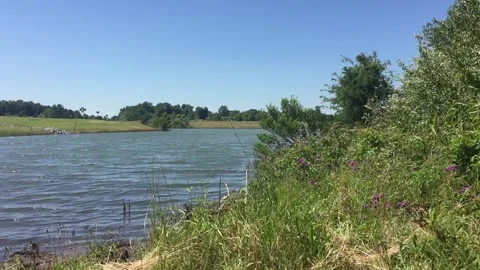 Pond beside a Highway 库存影片 136976786
