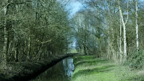 Pond Between Trees Video stock 234243547