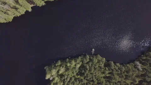 Pond with black water surrounded by green and fresh trees. Stockbeeldmateriaal 123710931