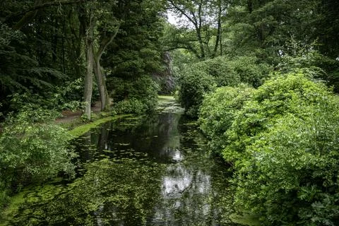 A pond bordered by trees with red and green foliage Stock Photos