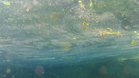 Pond from the bottom Stock Footage 229179294