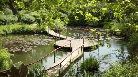 Pond With A Bridge Stock Footage 50066626