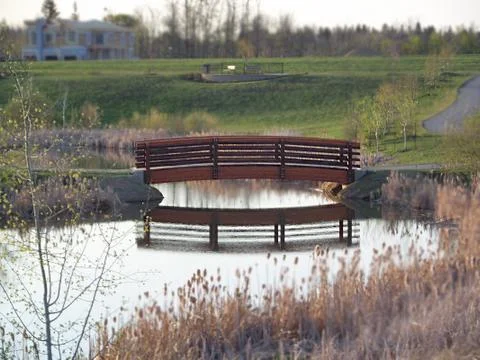Pond with bridge 写真素材