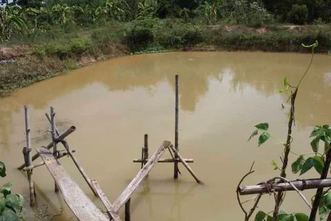 Pond with bridge Stock Photos