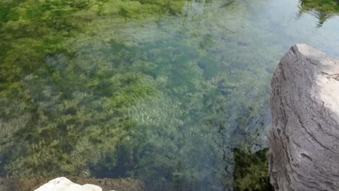 Pond with bubbling spring water 스톡 동영상 266785452