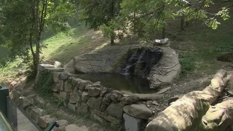 Pond cascade waterfall water bear enclosure nature trees zoo Stock Footage 332649846