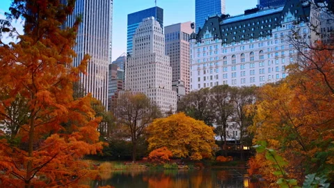 Pond in Central Park surrounded by the stunning colorful trees. 스톡 동영상 321832463