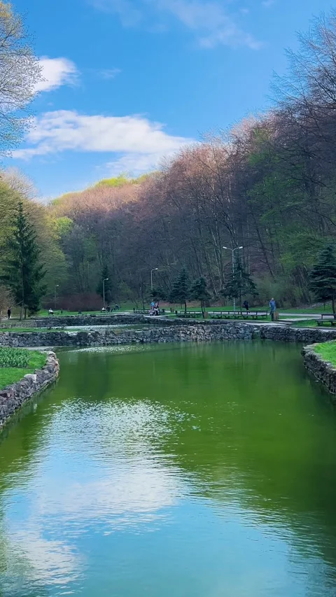 Pond in a city park during spring season. Video stock 333638905