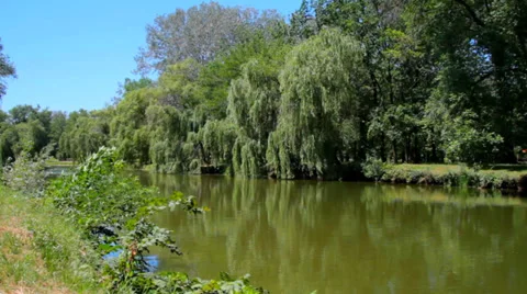 Pond at the city park Stock Footage 39863849