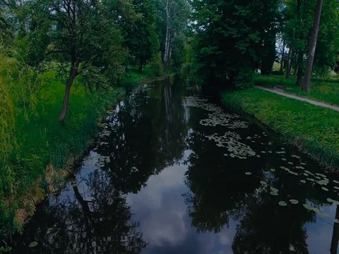 Pond in the city park Stock Footage 77053300