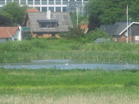 Pond in city Stock Photos