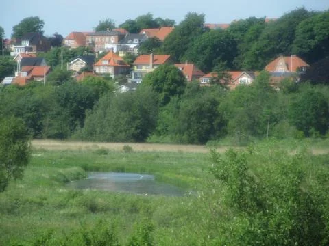 Pond in city Stock Photos
