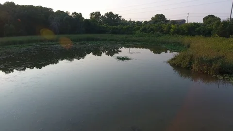 Pond close up Video stock 108515410