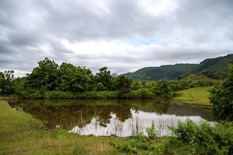 A pond with a cloudy sky in the background Stock Photos