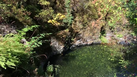 Pond created by creek... small fall Video stock 79547152