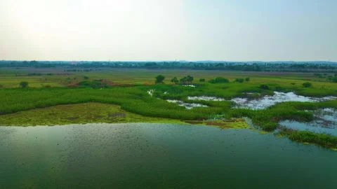 Pond - Drone Shot - Upwards Stock-Footage 254263920