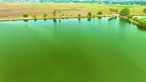 Pond - Drone View - Backwards Stock Footage 254264363