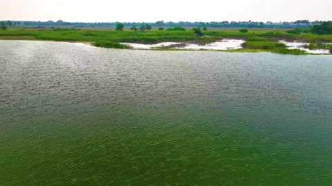 Pond - Drone View - Leftwards Stock-Footage 254263587