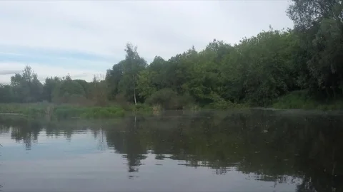 Pond with ducks among trees timelapse Stock Footage 77283284