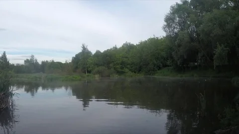 Pond with ducks in evening park timelapse Stockbeeldmateriaal 77284609