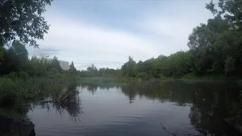 Pond With Ducks In Park Timelapse 스톡 동영상 77285698