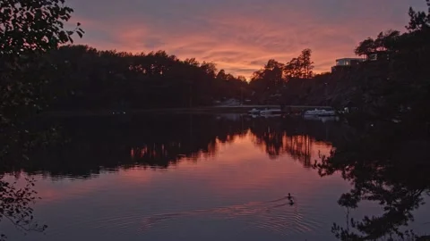 Pond with ducks in sunset Video stock 143439116