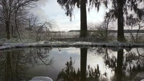 Pond during the seasons Stock Footage 163139988
