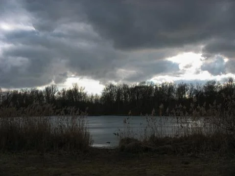 Pond during winter Stock Photos
