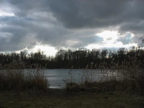 Pond during winter Stock Photos