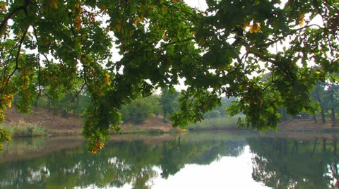 Pond in the early morning. Stock Footage 27144192